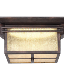 Hickory Point 15wide Led Outdoor Ceiling Light